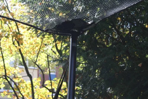 Balkonumrandung als Sichschutz Maßanfertigung 